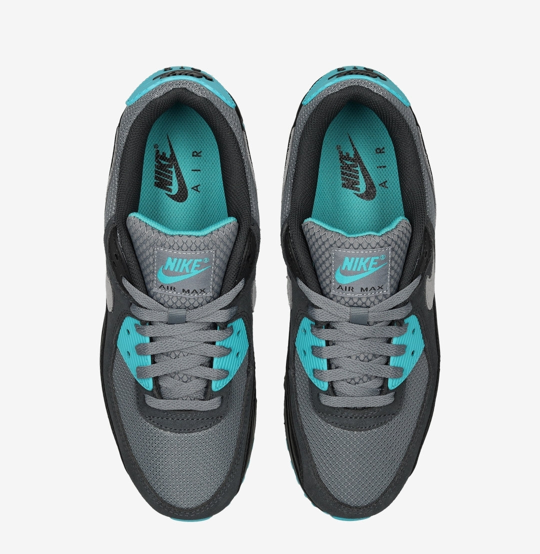 Nike Air Max 90 Dusty Cactus