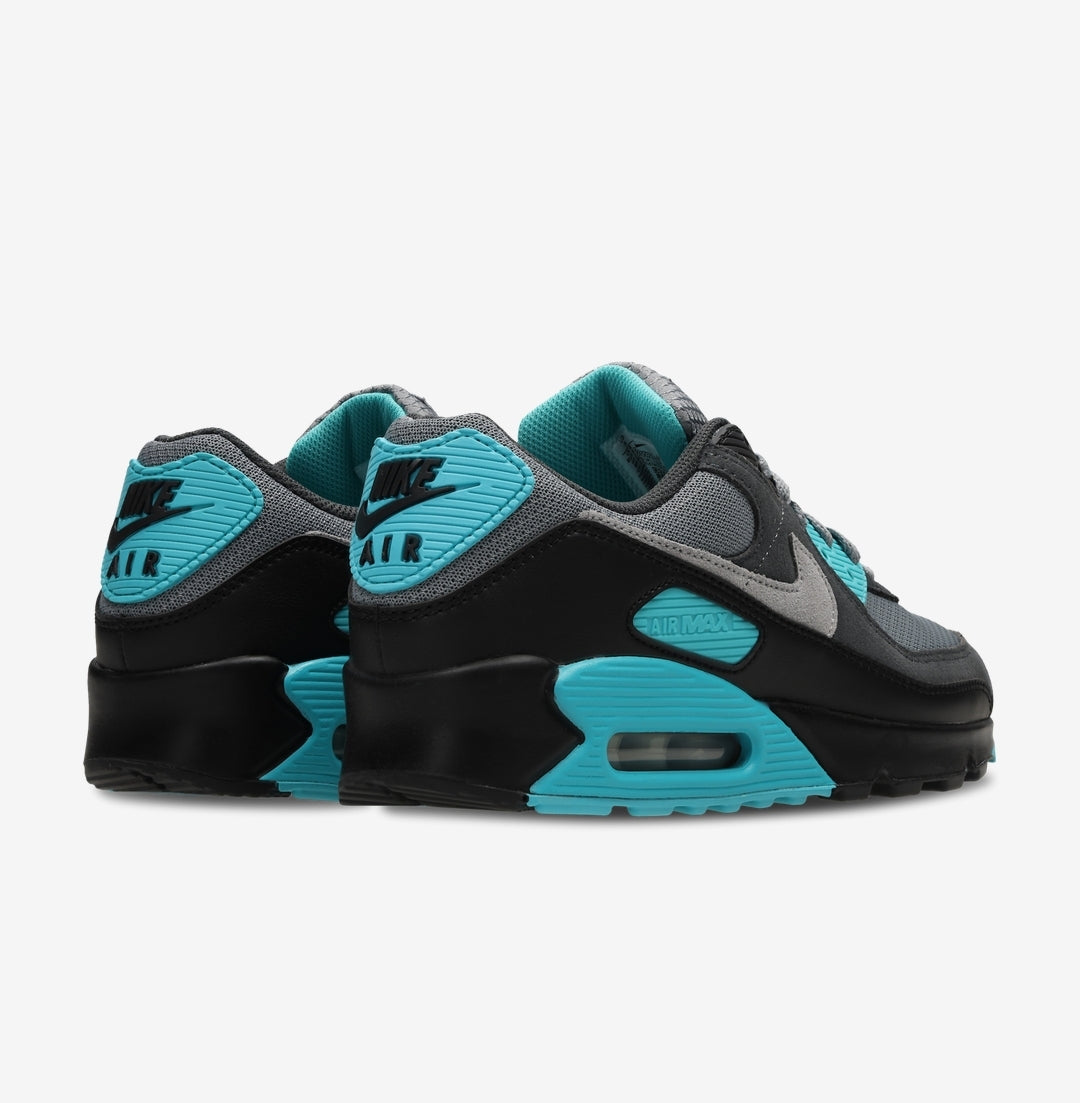 Nike Air Max 90 Dusty Cactus