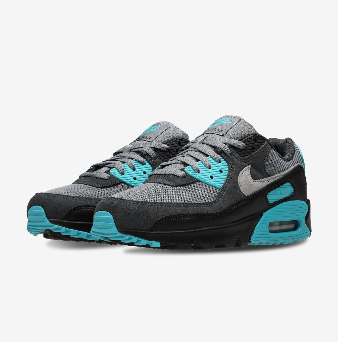 Nike Air Max 90 Dusty Cactus