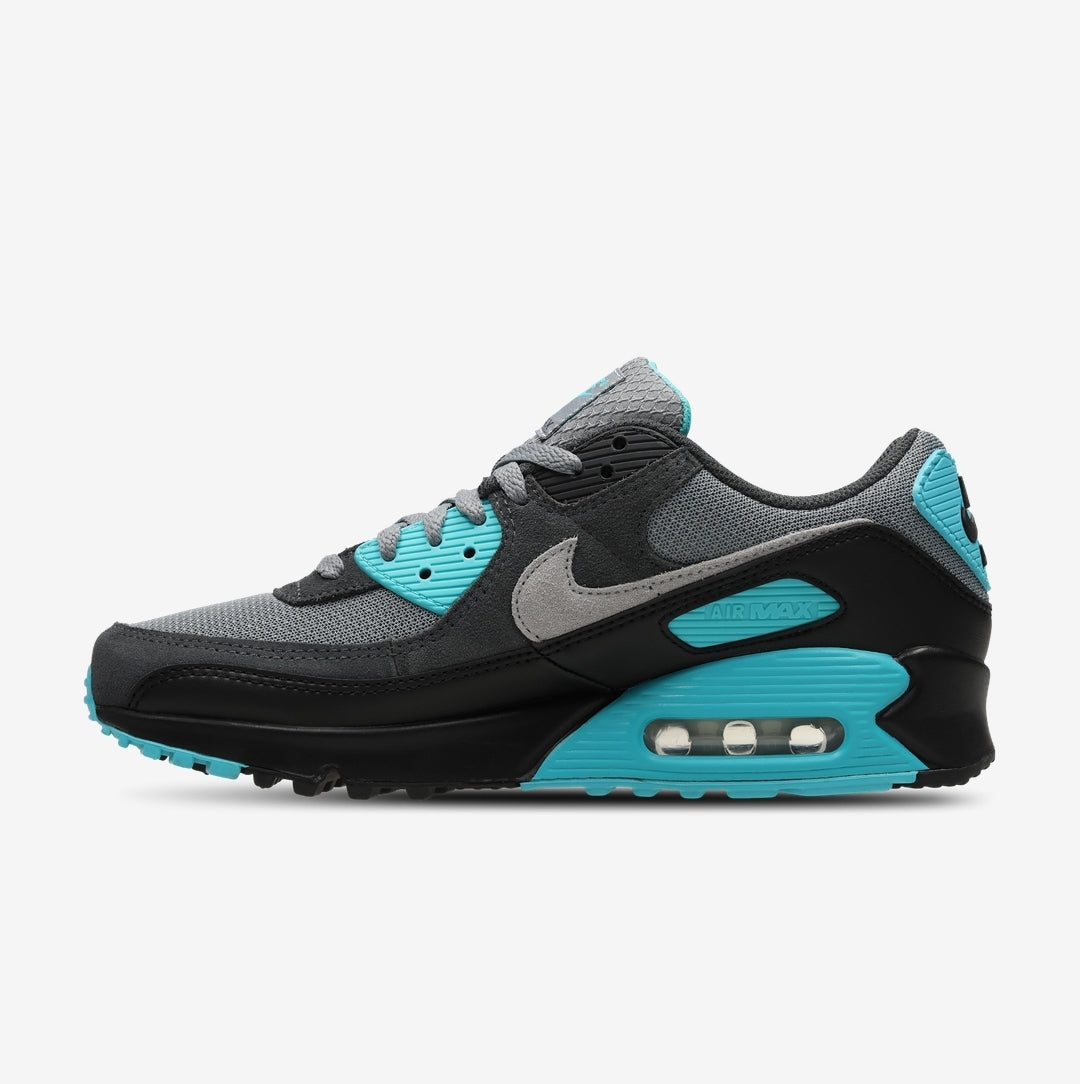 Nike Air Max 90 Dusty Cactus